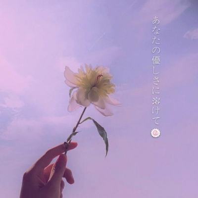 花札物语测试版下载